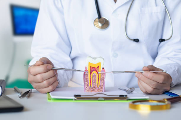 Best Tooth Pain Emergency Relief  in Jamestown West, NY